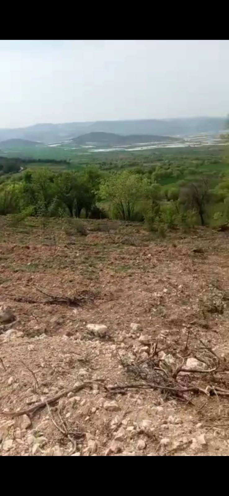 BİLECİK KARAAĞAÇTA SATILIK YOLA CEPHE ARAZİ